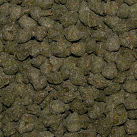 China Ginseng Oolong