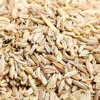 Fennel Seed