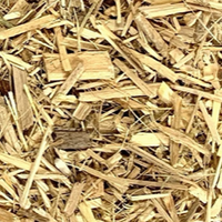 Siberian Ginseng Cut